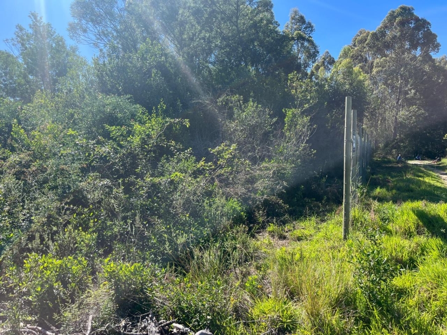 0 Bedroom Property for Sale in The Crags Western Cape